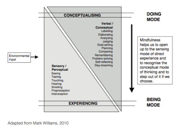 Sensing-Thinking-Mark-Williams