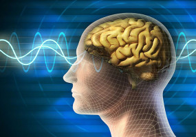 brain waves - evidence based mindfulness training