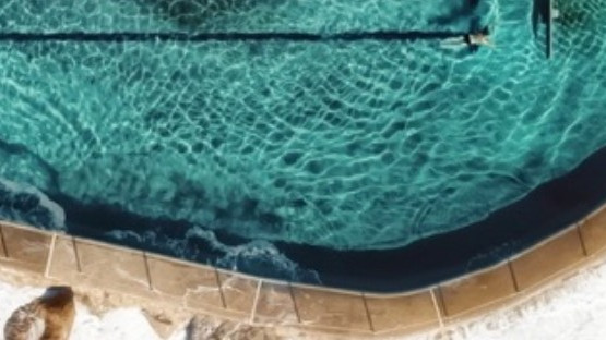 header sea pool