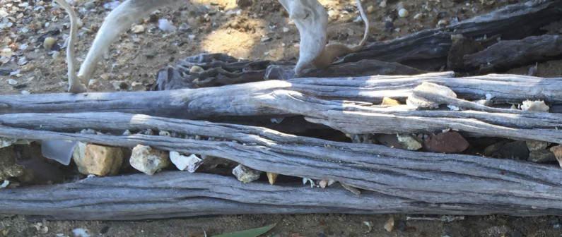 dead tree sculpture v2
