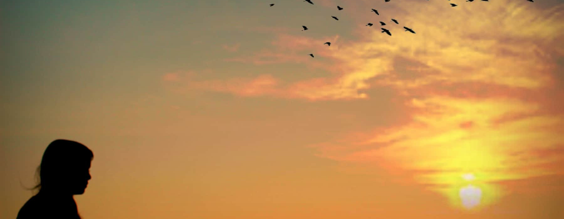 Mindfulness Courses Brisbane and Noosa