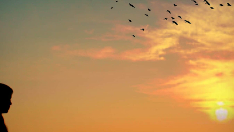 Mindfulness Courses Brisbane and Noosa