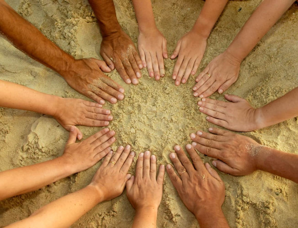 donate to openground