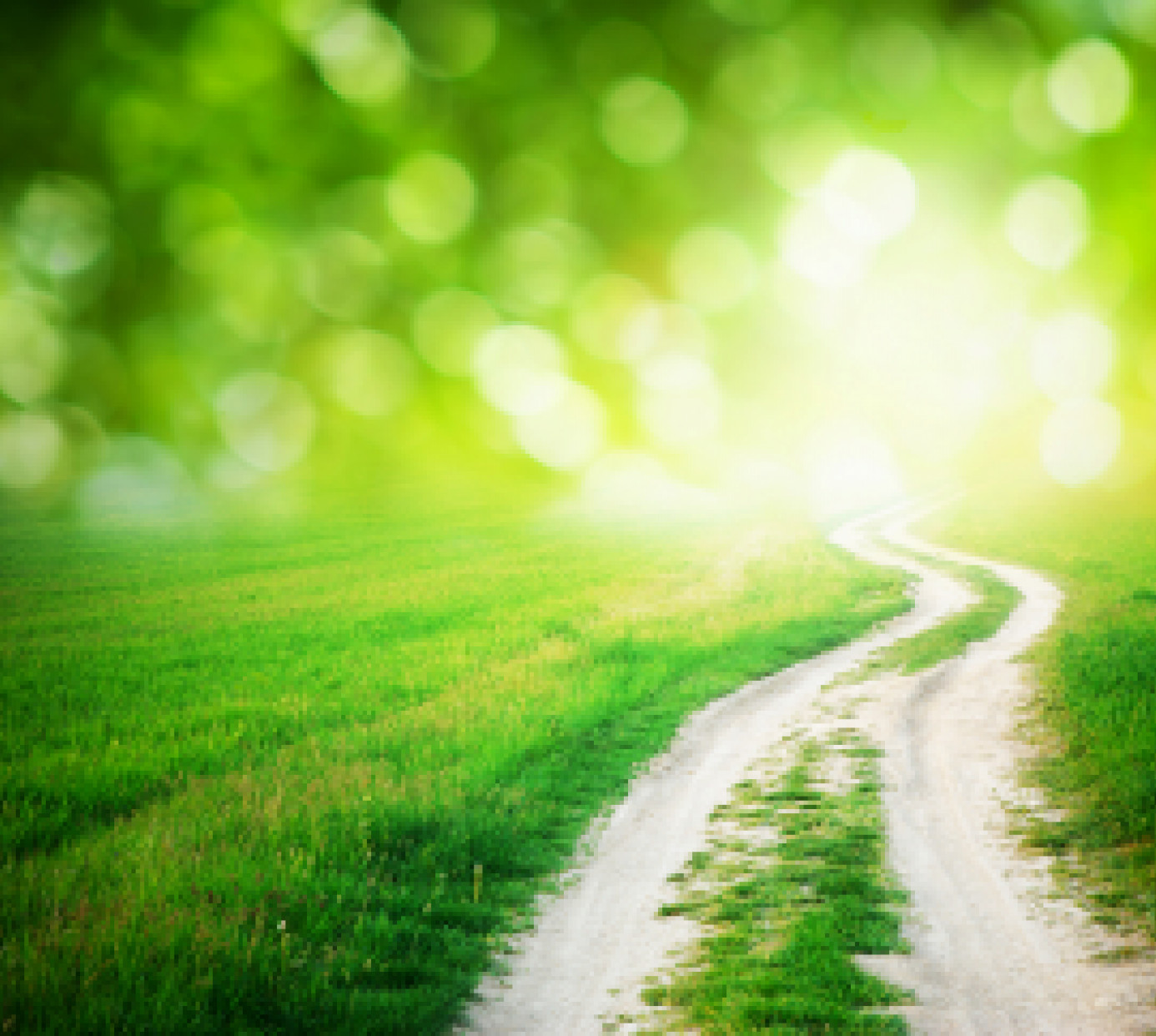 Openground Lane in meadow and deep blue