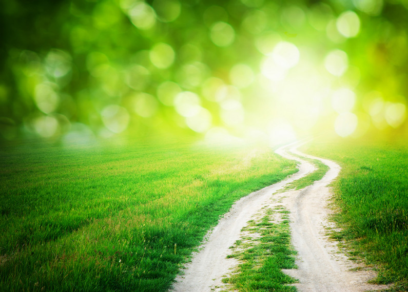 Openground Lane in meadow and deep blue