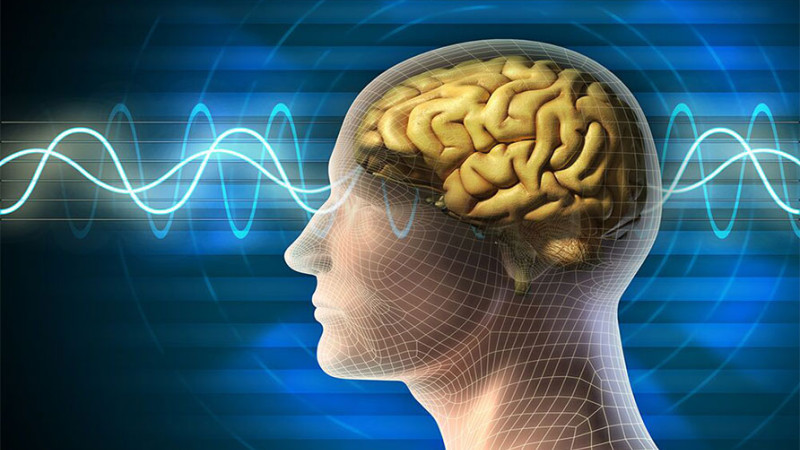Mindfulness for Stress Reduction Training