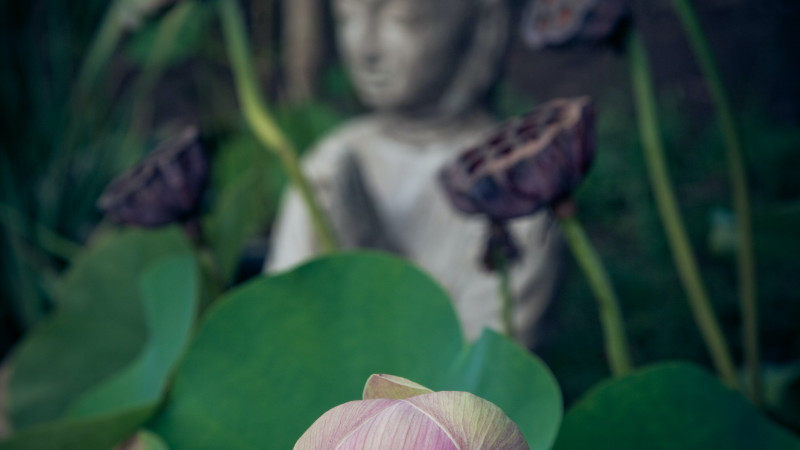 Mindful Self Compassion