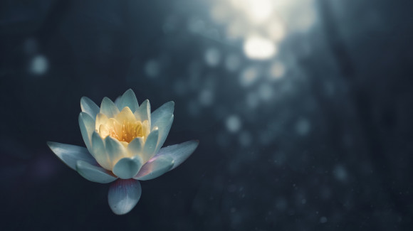zoltan tasi 698712 unsplash