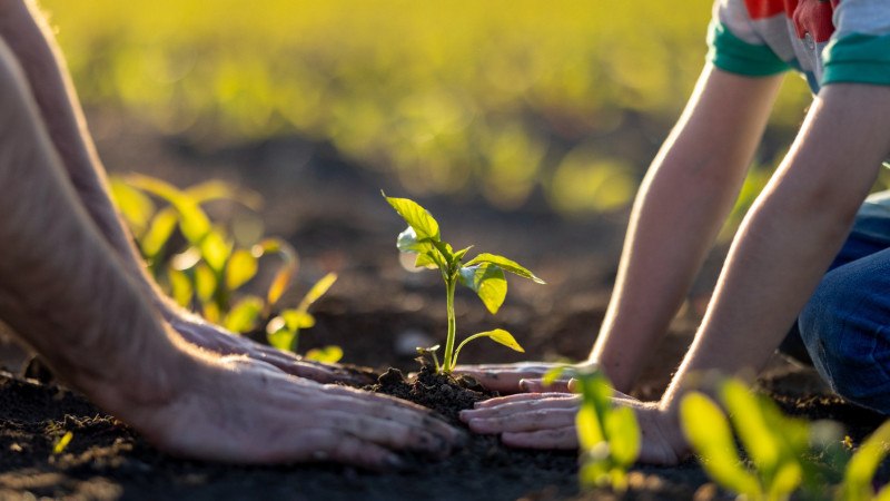 Young plant 1399795170 7879x5256 1920x1008