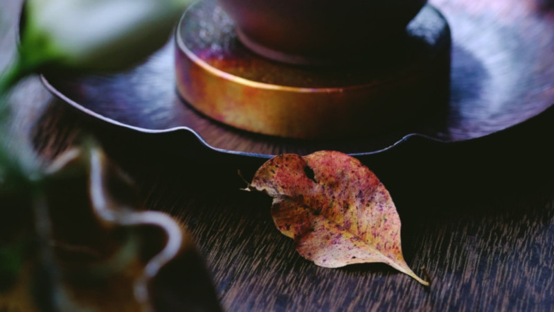 Meditation Course - Adelaide