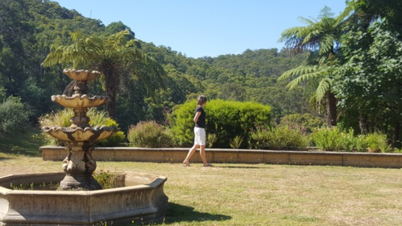Silent Meditation Retreat Healsville VIC 