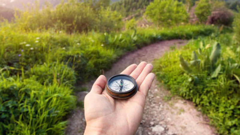 upgrade your habits